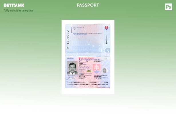 Модерен стил Словачки пасош сегашен шаблон 1